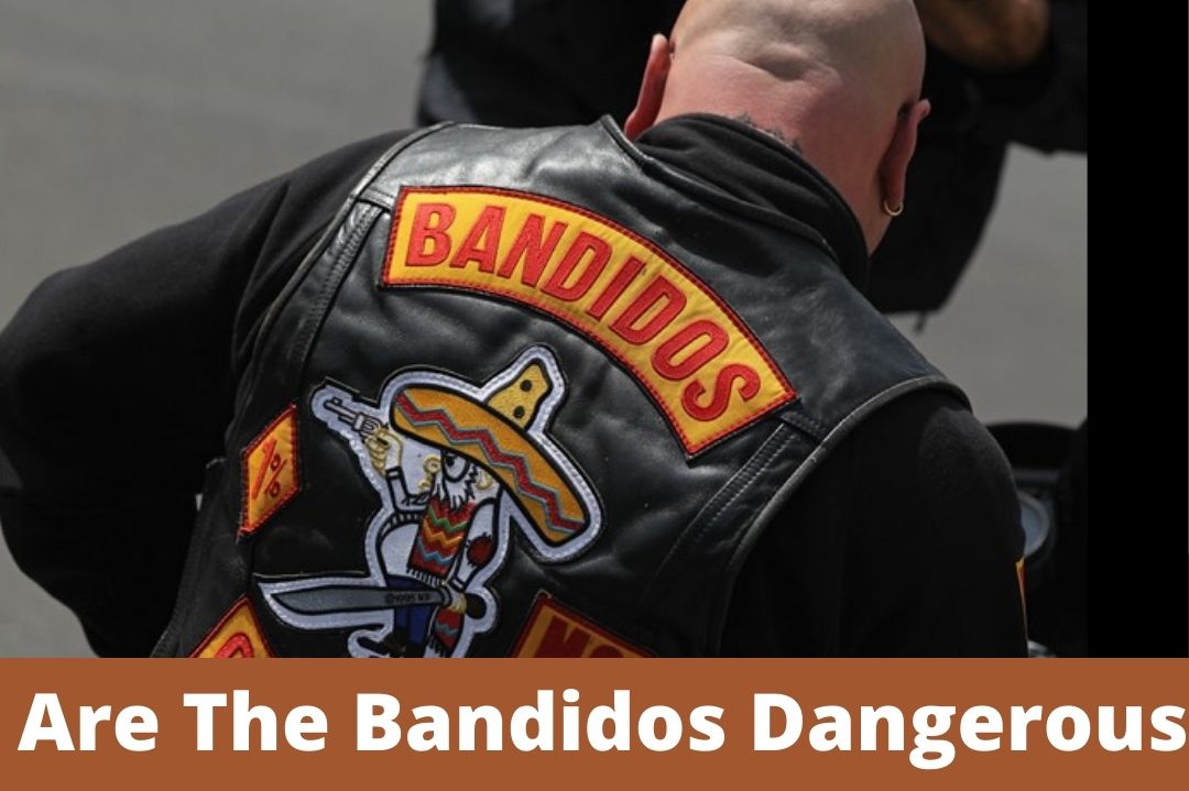Are The Bandidos Dangerous? (Facts Are Here!)
