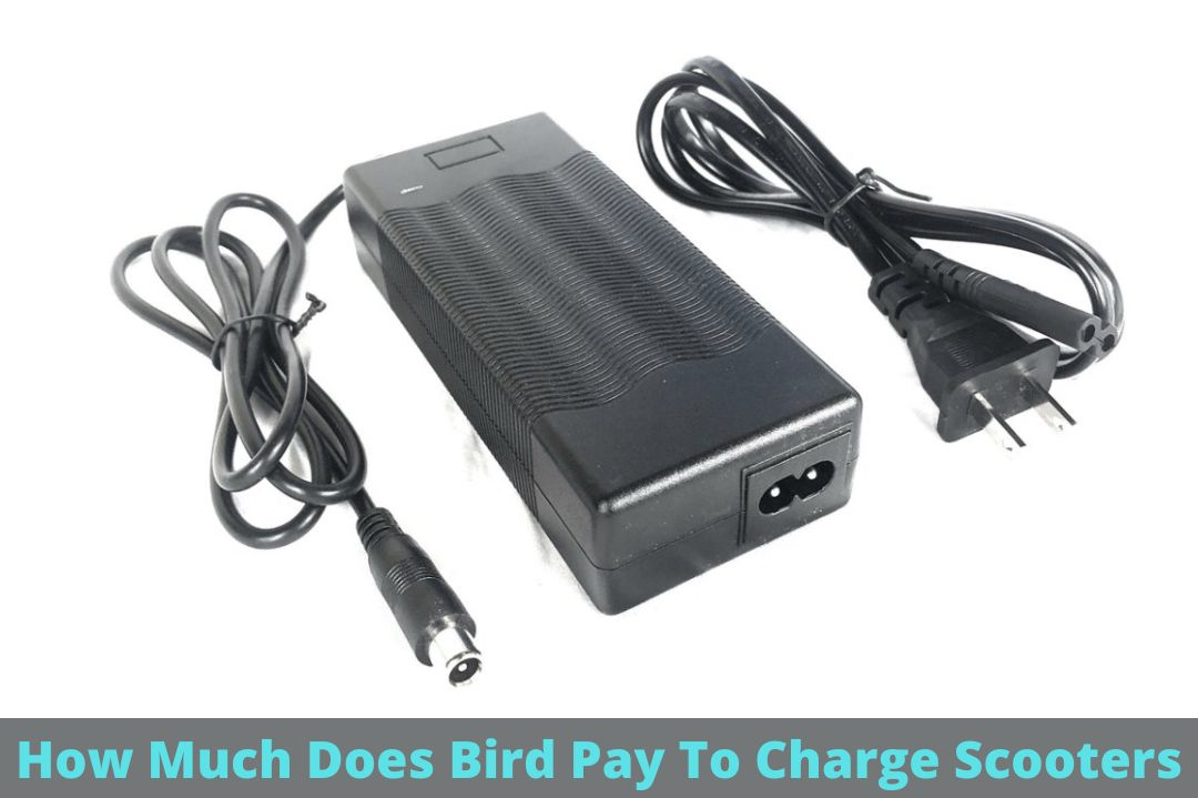 How Much Does Bird Pay To Charge Scooters