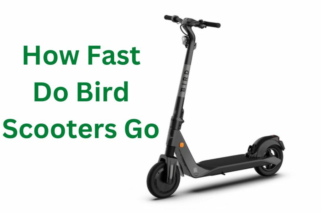 how-fast-do-bird-scooters-go-the-truth-revealed-2024-scooter-tip