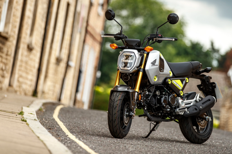 honda grom age limit